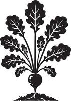 Root-to-leaf radish icon design on a clean white background vector