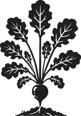 Root-to-leaf radish icon design on a clean white background