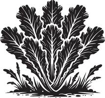 Subtle lettuce leaf shadow design on a clean white canvas vector