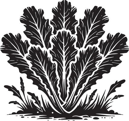Subtle lettuce leaf shadow design on a clean white canvas