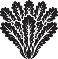 Stunning lettuce plant shadow design on white background vector