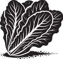 Decorative lettuce leaf illustration isolated on white background vector