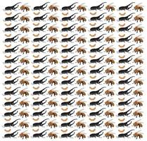 bee, beetle with fruit as a pattern background vector