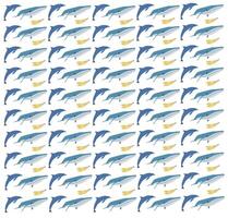 whale, dolphin with fruit as a pattern background vector