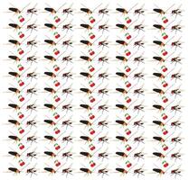 cockroach, fly with fruit as a pattern background vector
