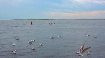 Gray Cloudy Sky And Sea Waves On The Island Beach Footage. video