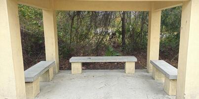 A gazebo with benches and a tree in the background photo