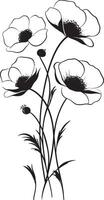 Poppy flowers black and white vector
