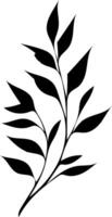 A black and white drawing of a leaf vector