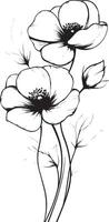 A black and white drawing of three poppies vector