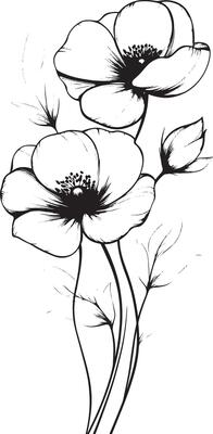 A black and white drawing of three poppies