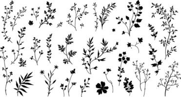 A set of black and white silhouettes of plants vector