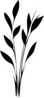 A black and white drawing of leaves on a white background vector