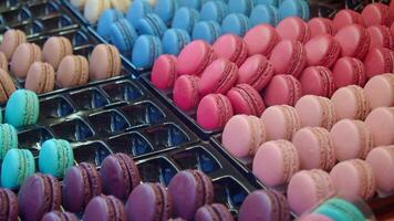macaroon in a paper box on light green background video