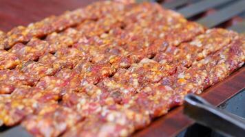 Grilled Skewers of Ground Meat A Culinary Delight to Satisfy All Taste Buds video
