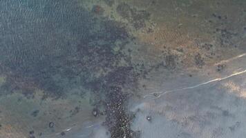 Aerial View of Coastal Area with Sandy Shoreline and Underwater Features. An aerial view capturing the coastal area with a sandy shoreline, visible patterns in the sand, and underwater features video