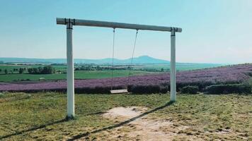 Homemade rope swing in a lavender field in Czech Moravia video