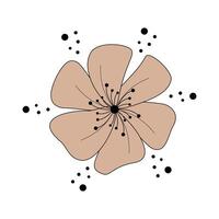 abstract flower illustration brown and beige on a white background. vector