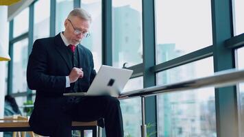 Grey-haired businessman working on a laptop. Serious mature man in glasses in elegant suit typing on a computer while sitting near the windows. video