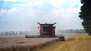 Front view of a modern combine on nature background. Red combine harvester working in the field in rural place. Seasonal works. video