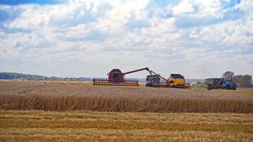 Agricultural machinery on the field. Combine harvester unloading crop into trailer. Two combines and tractors working in summer day. video