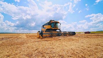 Yellow combine harvester working on the field. Modern combine during seasonal workers in the farmland. Agricultural machine on the field under blue sky. video