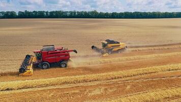 Modern machinery collecting ripe crop.Two combine harvesters working on a golden field in a bright summer day. Aerial view. video