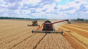 Front view of combine harvesters working on the field. Agricultural machinery gathering ripe wheat in the farmland. Crop season. Motion camera back. video
