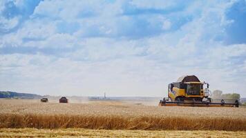 Harvesting ripe crop on the yellow field. Combine harvester working during seasonal works under the blue sky. Agricultural machinery in action in summer. video