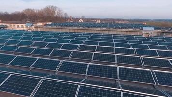 voar sobre solar painéis Fazenda. fotovoltaico sistema em a telhados do edifícios. renovável fonte do verde energia a partir de a Sol. zangão visualizar. video