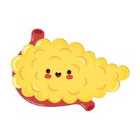 Pancreas character. hand drawn cartoon kawaii character illustration icon. Isolated on white background. Pancreas character concept vector