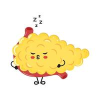 Pancreas sleeping character. hand drawn cartoon kawaii character illustration icon. Isolated on white background. Pancreas sleep character concept vector