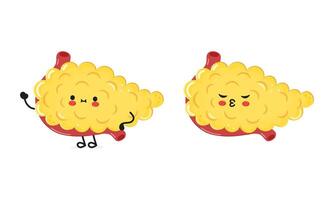 Pancreas character. hand drawn cartoon kawaii character illustration icon. Isolated on white background. Pancreas character concept vector