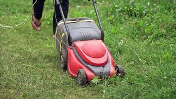 Process of cutting grass in the garden. Homeowner mowing green grass in the backyard by special mowing machine. video