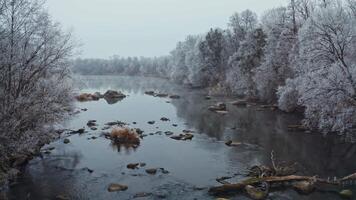 Beautiful river in winter season. Flight over the trees covered with white snow on both sides of a river. Drone view. video