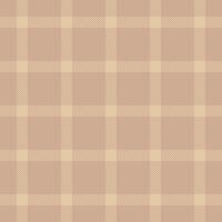 Us plaid pattern, no people texture seamless tartan. Knot fabric check textile background in light color. vector