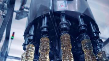 Modern equipment of cooking oil production. Automated machine turning in circle with bottles filled with sunflower oil in the factory. New technologies in industry. video