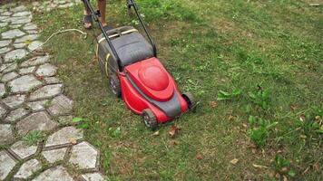 A lawn mower is cutting green grass. Young boy with a lawn mower is working in the backyard video