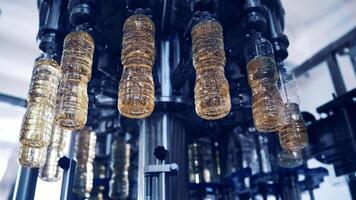 Cooking oil production. Plastic bottles filling with olive oil inside the modern factory. Automated machine moving on a circle way with refined oil. View from below. video
