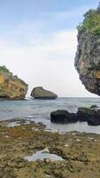 Visão do coral pedras em a Beira Mar, adequado para natureza conteúdo e a gostar video