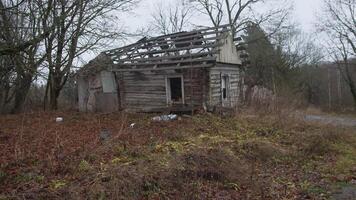An old, abandoned, and dilapidated house is surrounded by overgrown vegetation, wild plants, and towering trees video