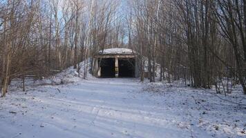 A beautifully serene scene captures a snowcovered tunnel that is surrounded by bare trees in the midst of winter video