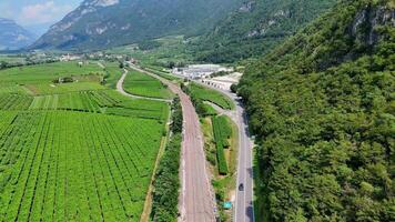 Camera moving forward over railway tracks and vineyards video