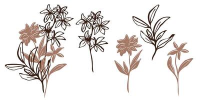 Minimalistic botanical illustration. hand drawn flowers and leaves in mocha and brawn outlines. line art and silhouettes, emphasizing natural in a modern style vector