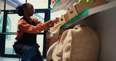 Employee placing crates of organic produce on shelves, preparing store merchandise before welcoming clients. African american woman arranging fruits and vegetables in shop. Handheld shot. photo