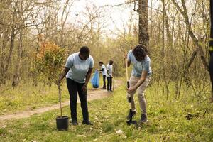 Diverse people joining forces in digging holes and planting trees with commitment to reforestation, nurturing its growth and preserving the seedlings. Motivated group of environmentalists. photo