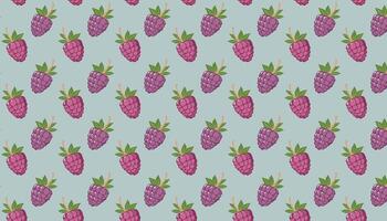 Raspberry Pattern Illustration. Isolated Background. vector