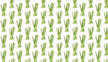 Pattern with green asparagus on a white background vector