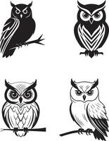 First Owl Silhouette on White Background vector