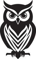 Second Owl Silhouette Isolated on White vector